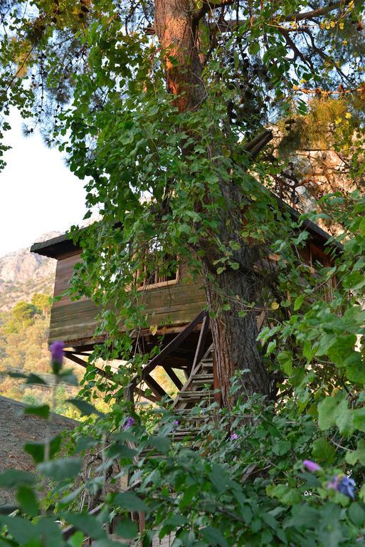 Gorge Club Ξενοδοχείο Saklikent Δωμάτιο φωτογραφία